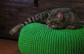 вязаный пуф с котом